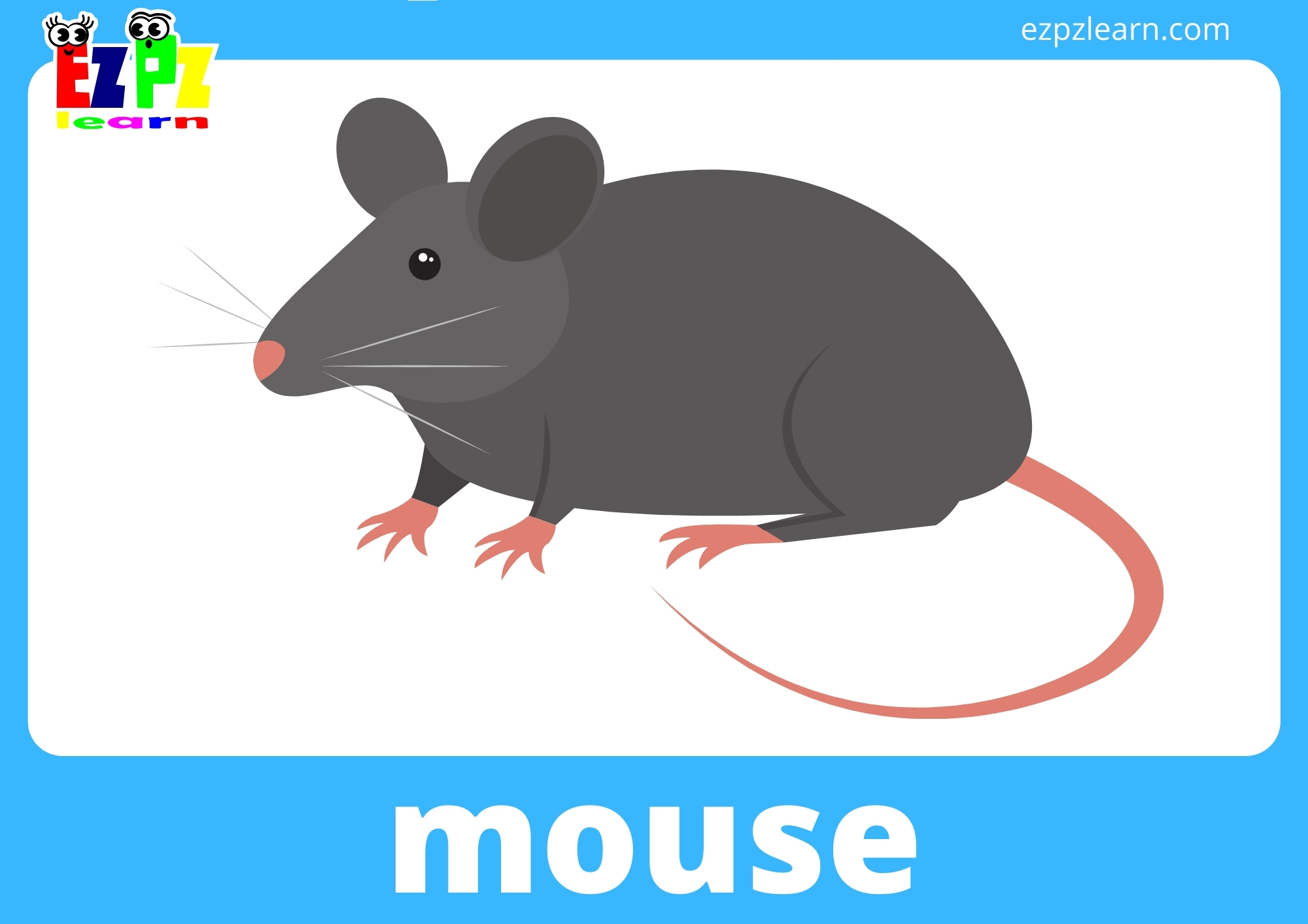 mouse